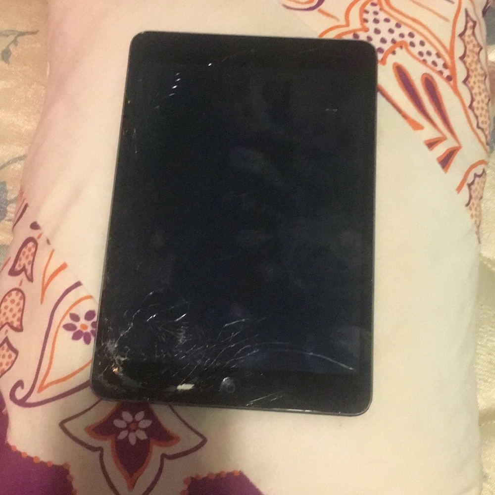 Apple iPad mini
